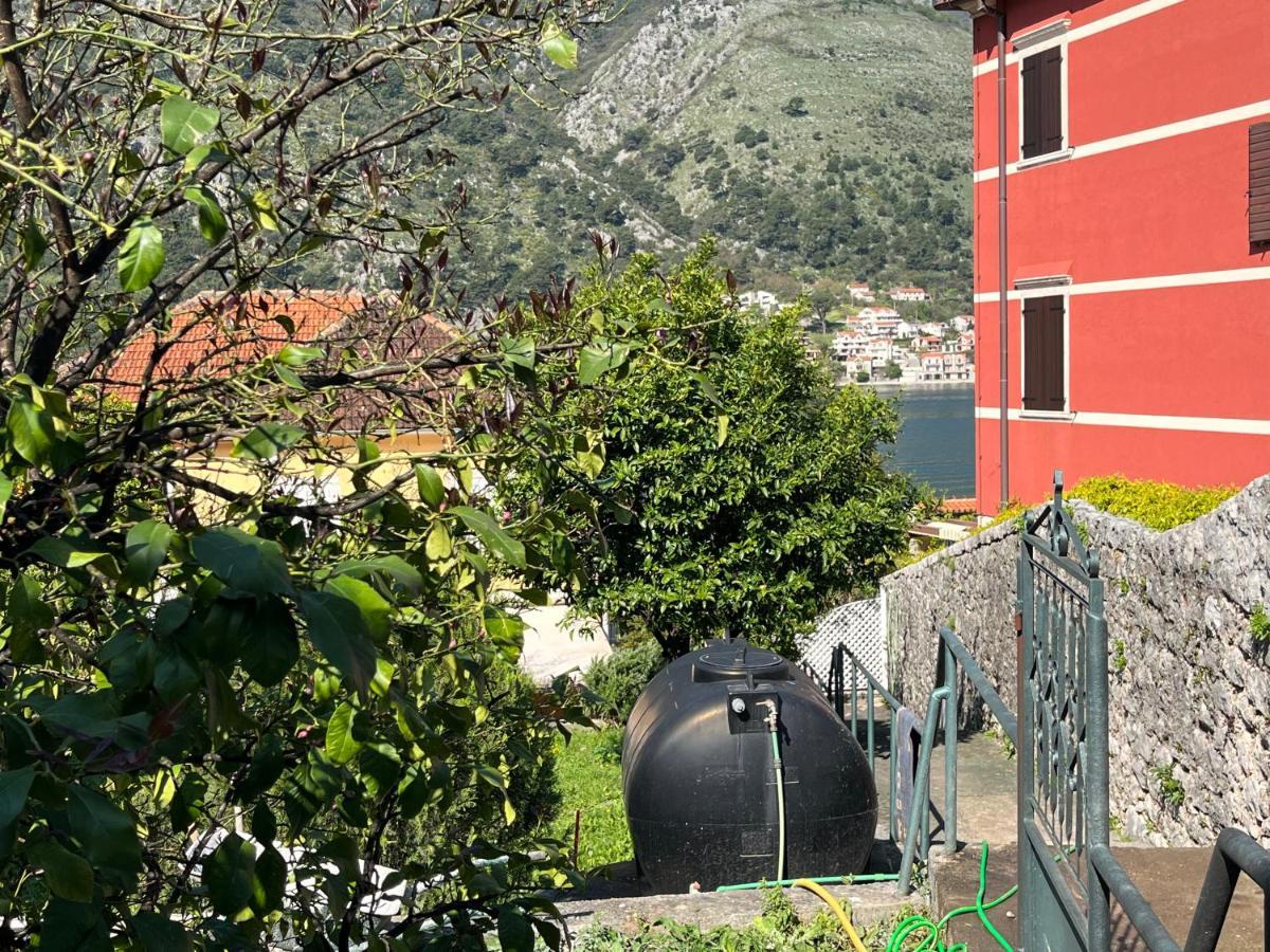 Villa Miramare , Dobrota Seafront Kotor Exterior photo